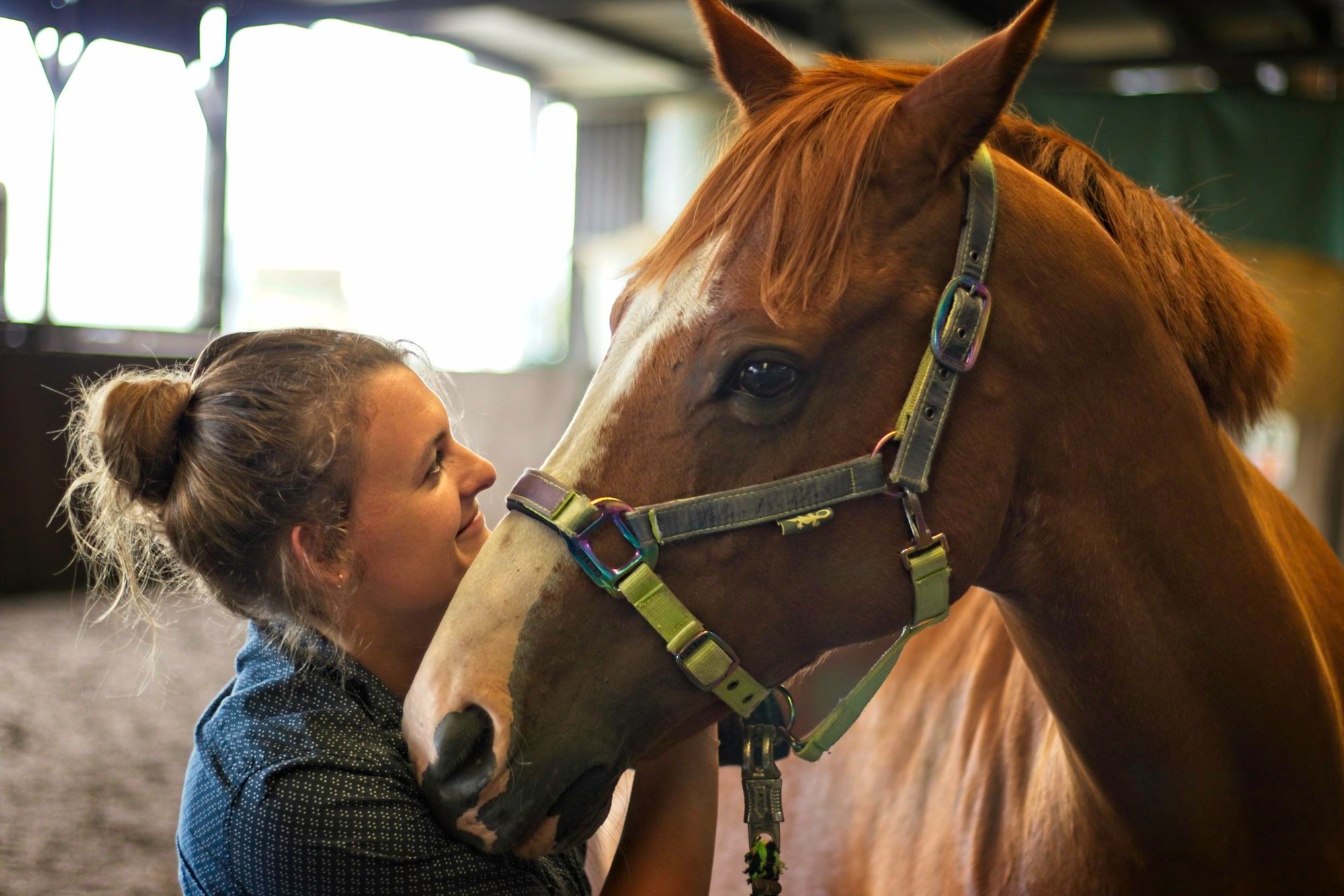 Tierarzt Franziska Lange Chiropraktik Rehabilitation Mecklenburg-Vorpommern Schleswig-Holstein